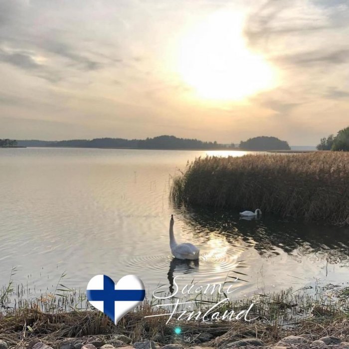 Hyvää itsenäisyyspäivää! 🇫🇮🧡📷